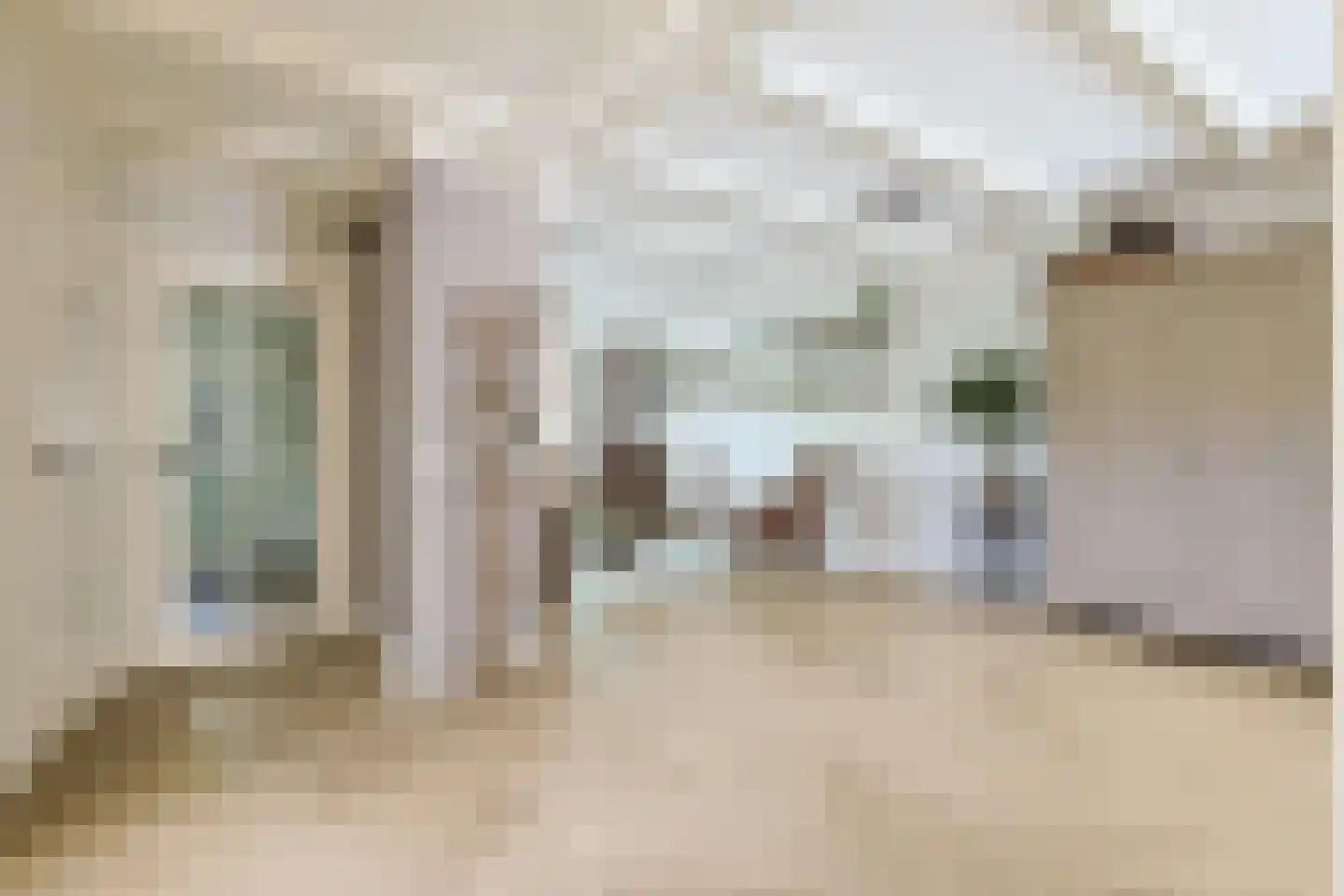 Noordeinde 54 A Aarlanderveen thumbnail 14