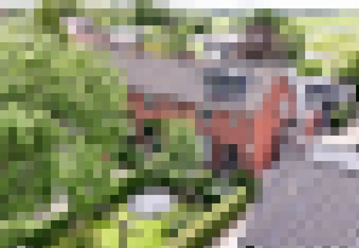 Noordeinde 54 A Aarlanderveen thumbnail 5