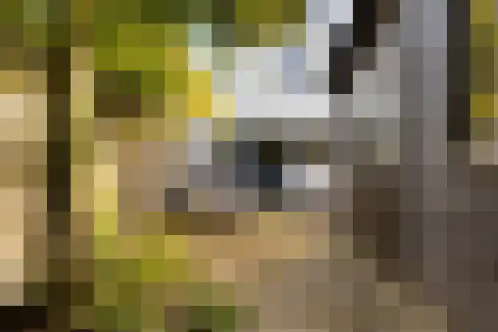 Noordeinde 57 Monnickendam thumbnail 12