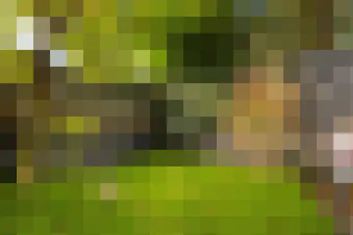 Noordeinde 57 Monnickendam thumbnail 17