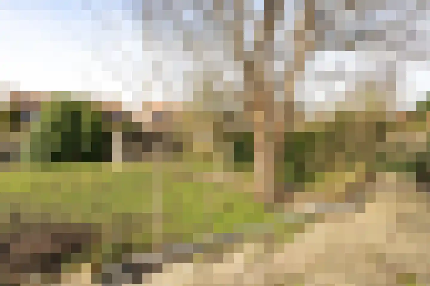 Noordeinde 59 Zevenhoven thumbnail 14