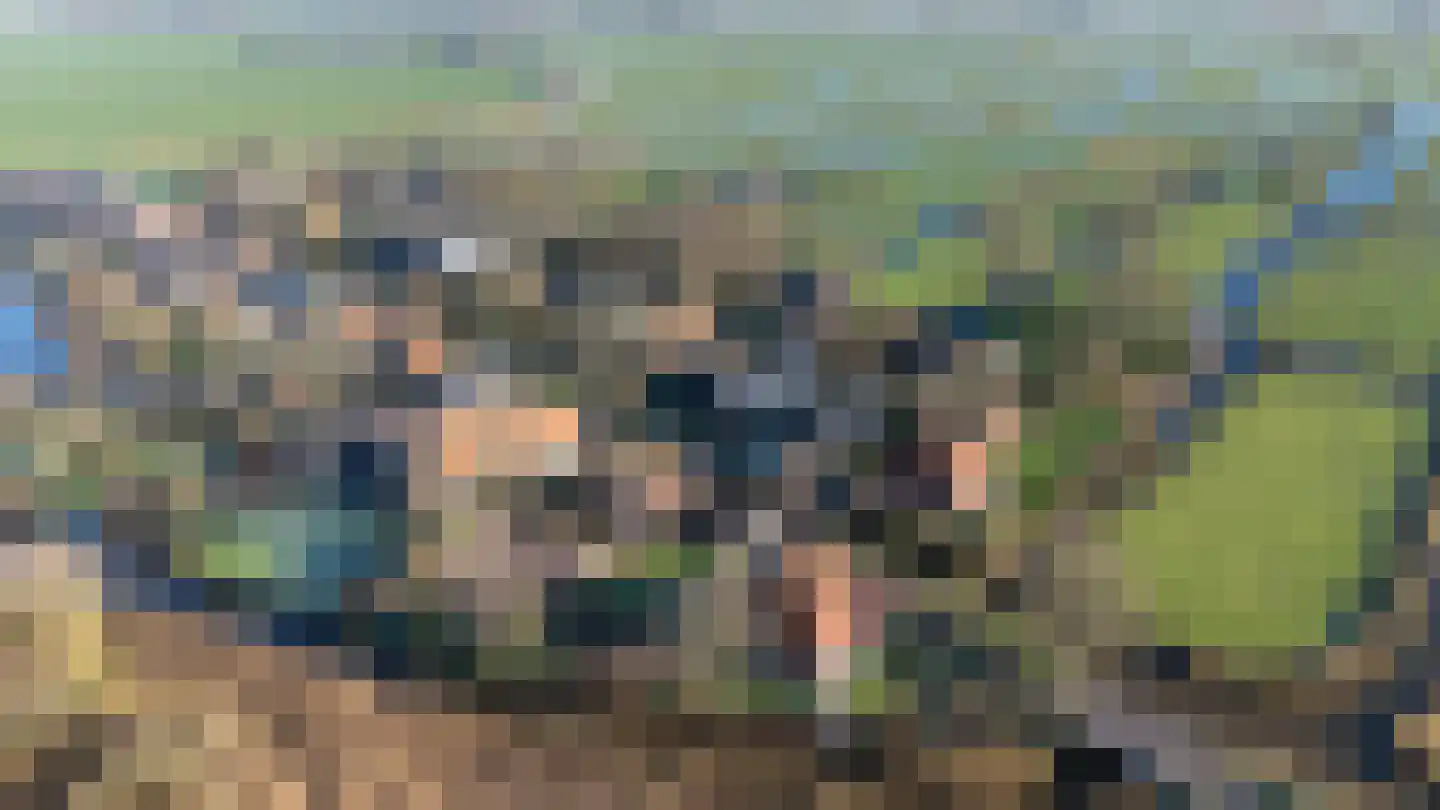 Noordeinde 6 Noordeinde thumbnail 100