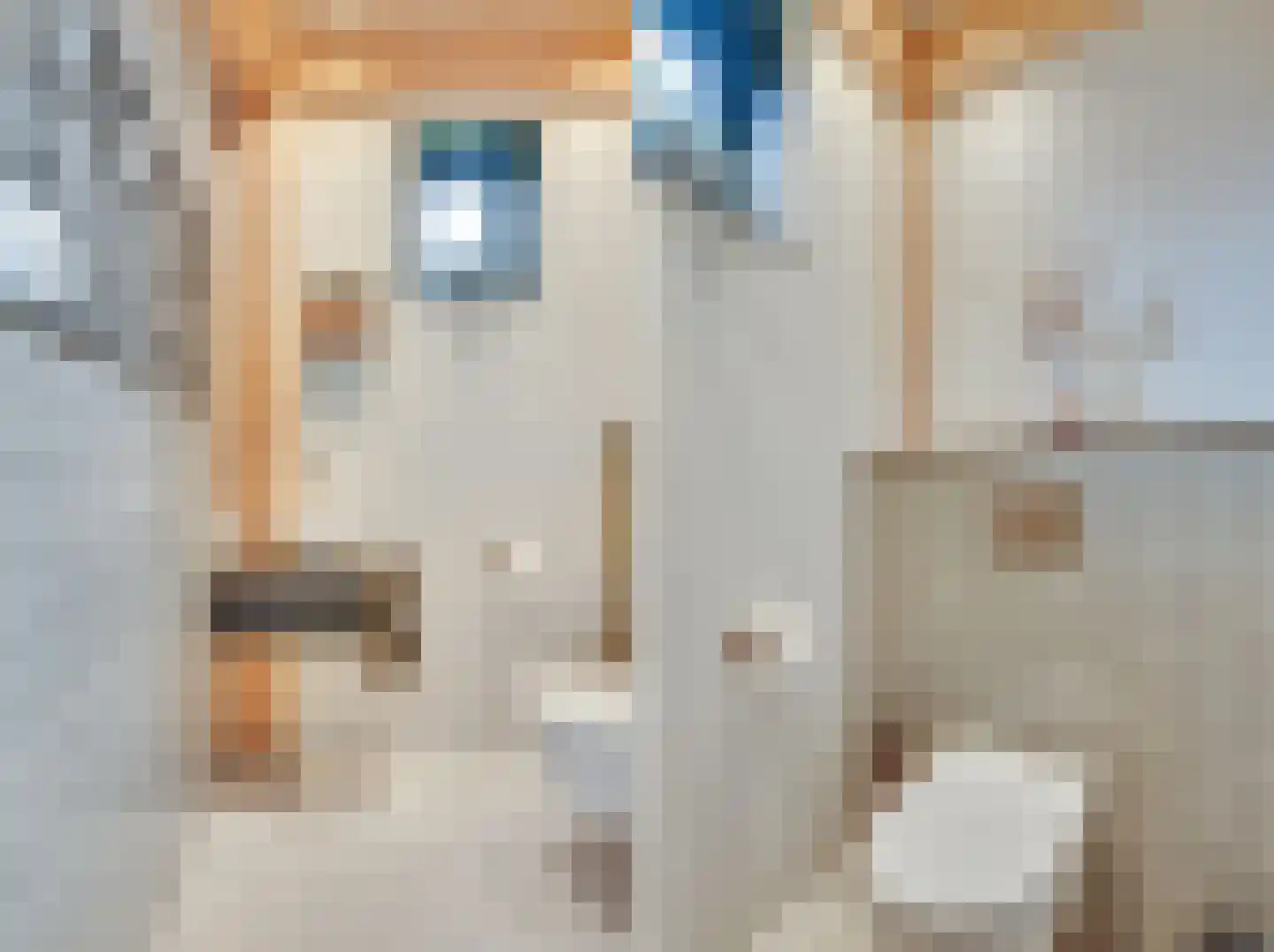 Noordeinde 6 Noordeinde thumbnail 22