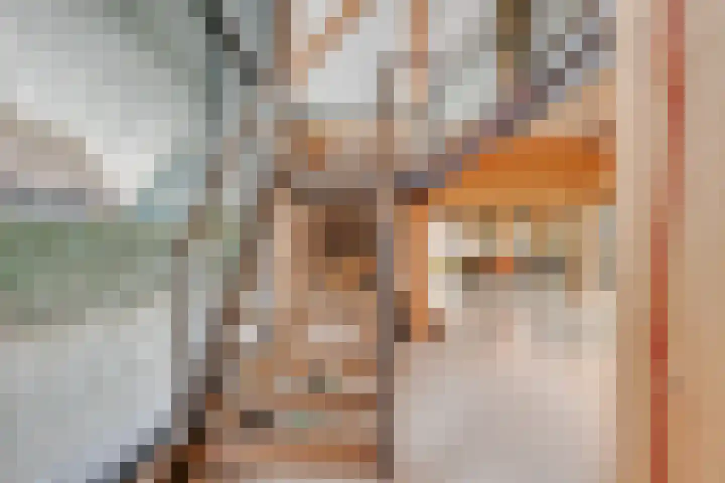 Noordeinde 6 Noordeinde thumbnail 23