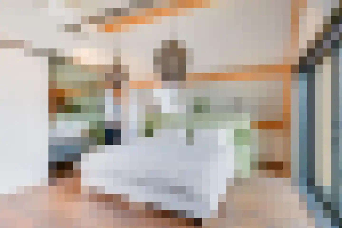 Noordeinde 6 Noordeinde thumbnail 28