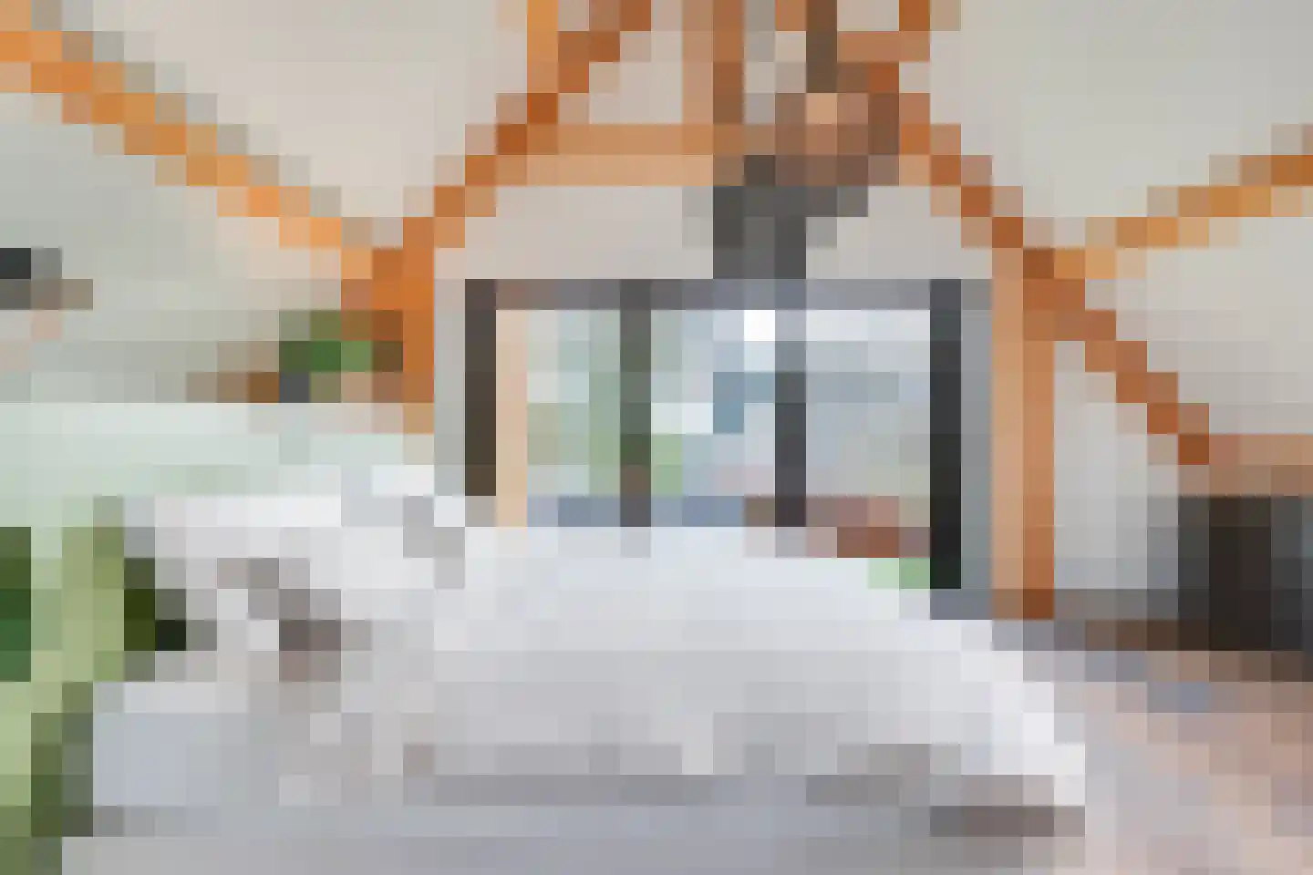 Noordeinde 6 Noordeinde thumbnail 29