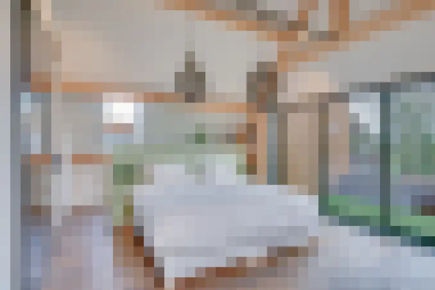 Noordeinde 6 Noordeinde thumbnail 30