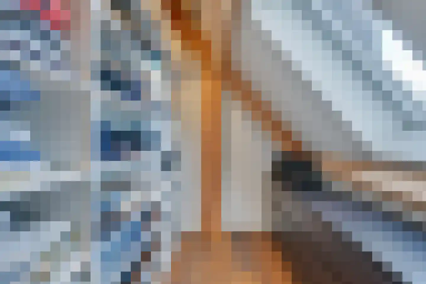 Noordeinde 6 Noordeinde thumbnail 32