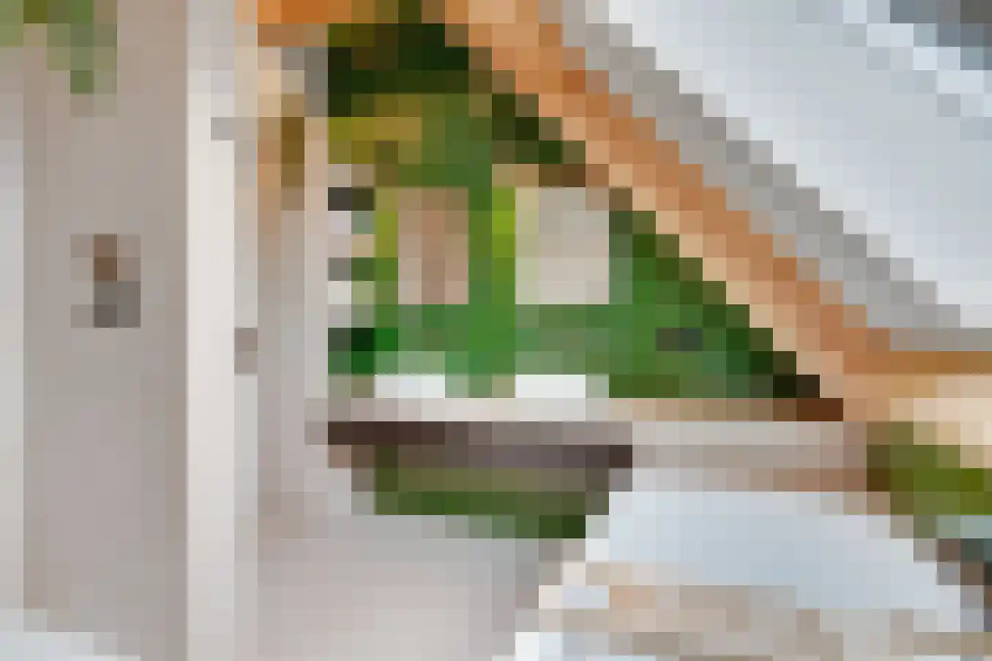 Noordeinde 6 Noordeinde thumbnail 42