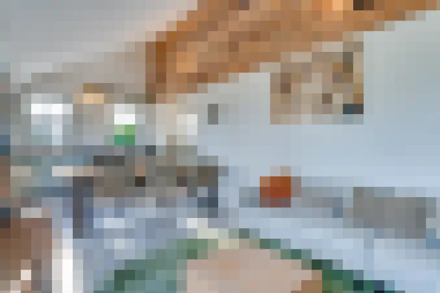 Noordeinde 6 Noordeinde thumbnail 49