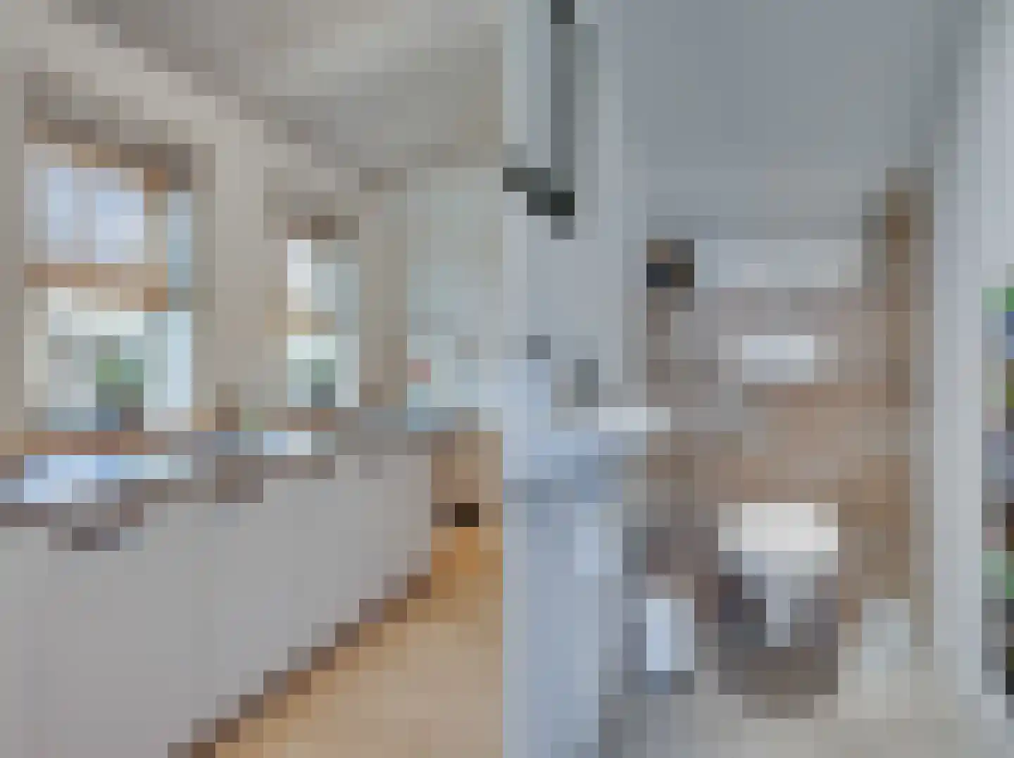 Noordeinde 6 Noordeinde thumbnail 57