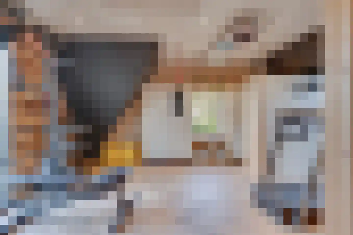 Noordeinde 6 Noordeinde thumbnail 60