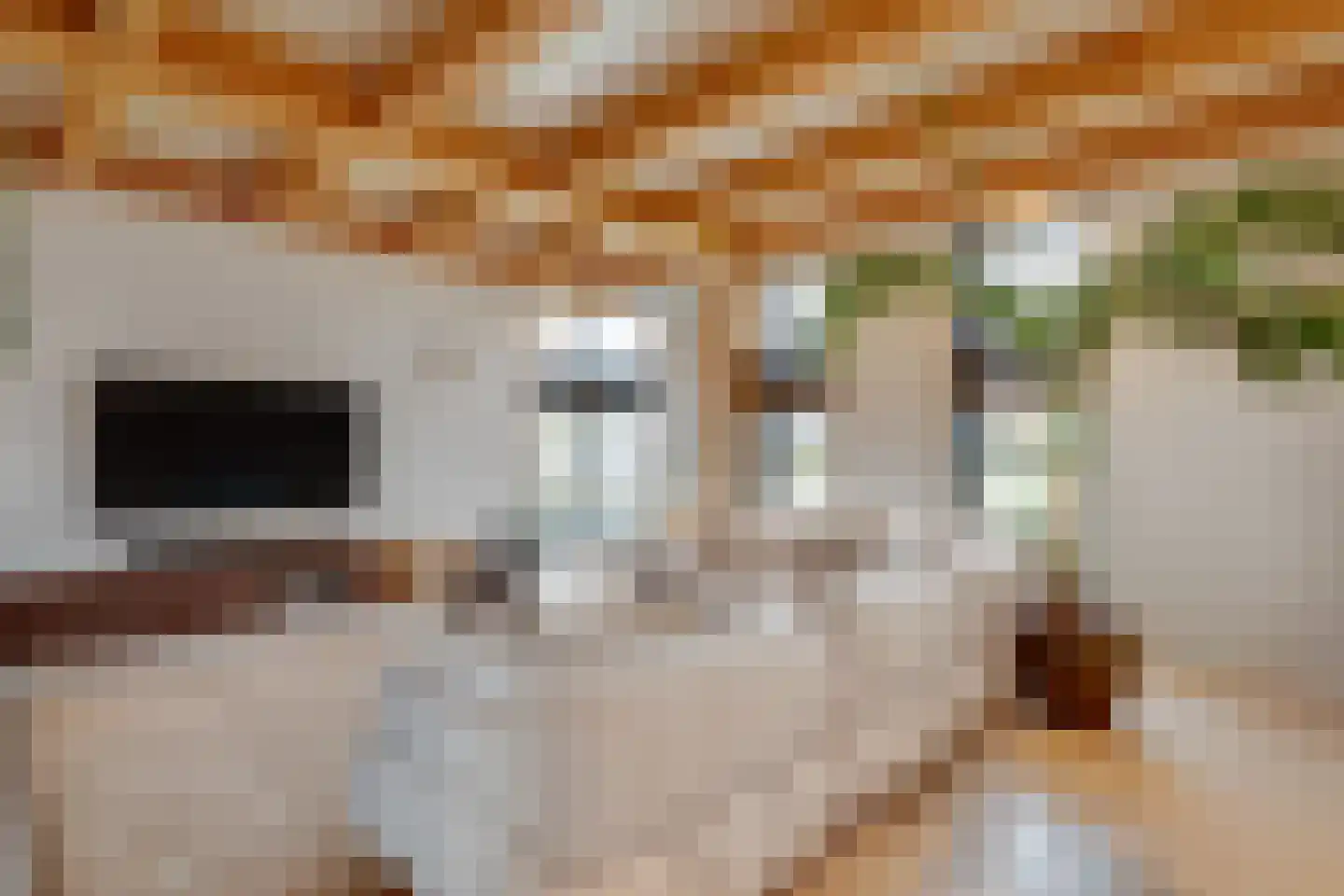 Noordeinde 6 Noordeinde thumbnail 7