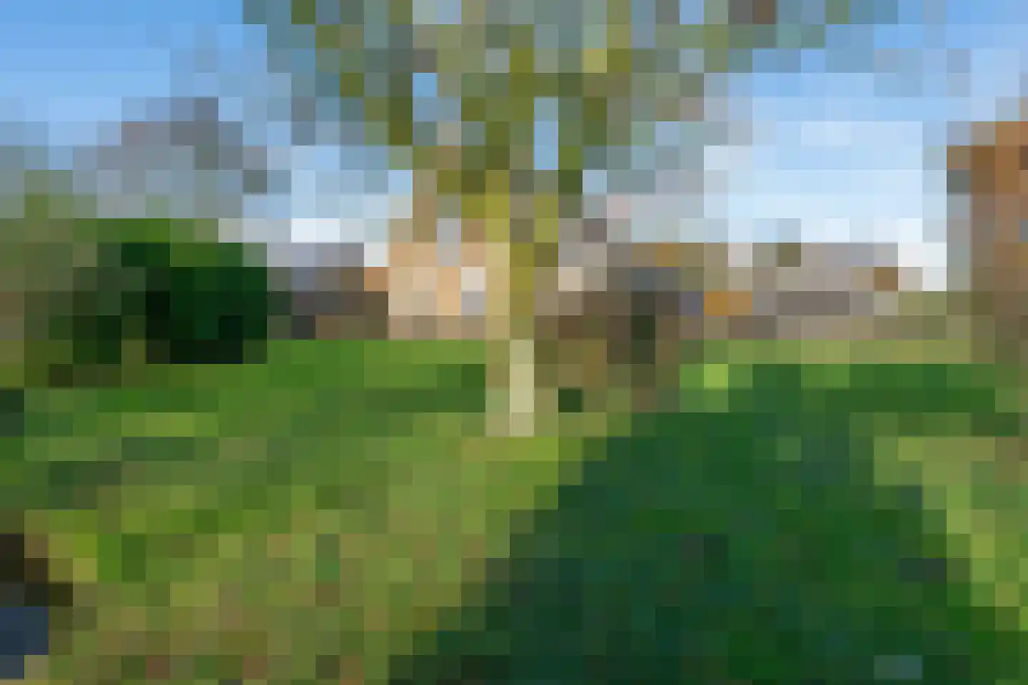 Noordeinde 6 Noordeinde thumbnail 74