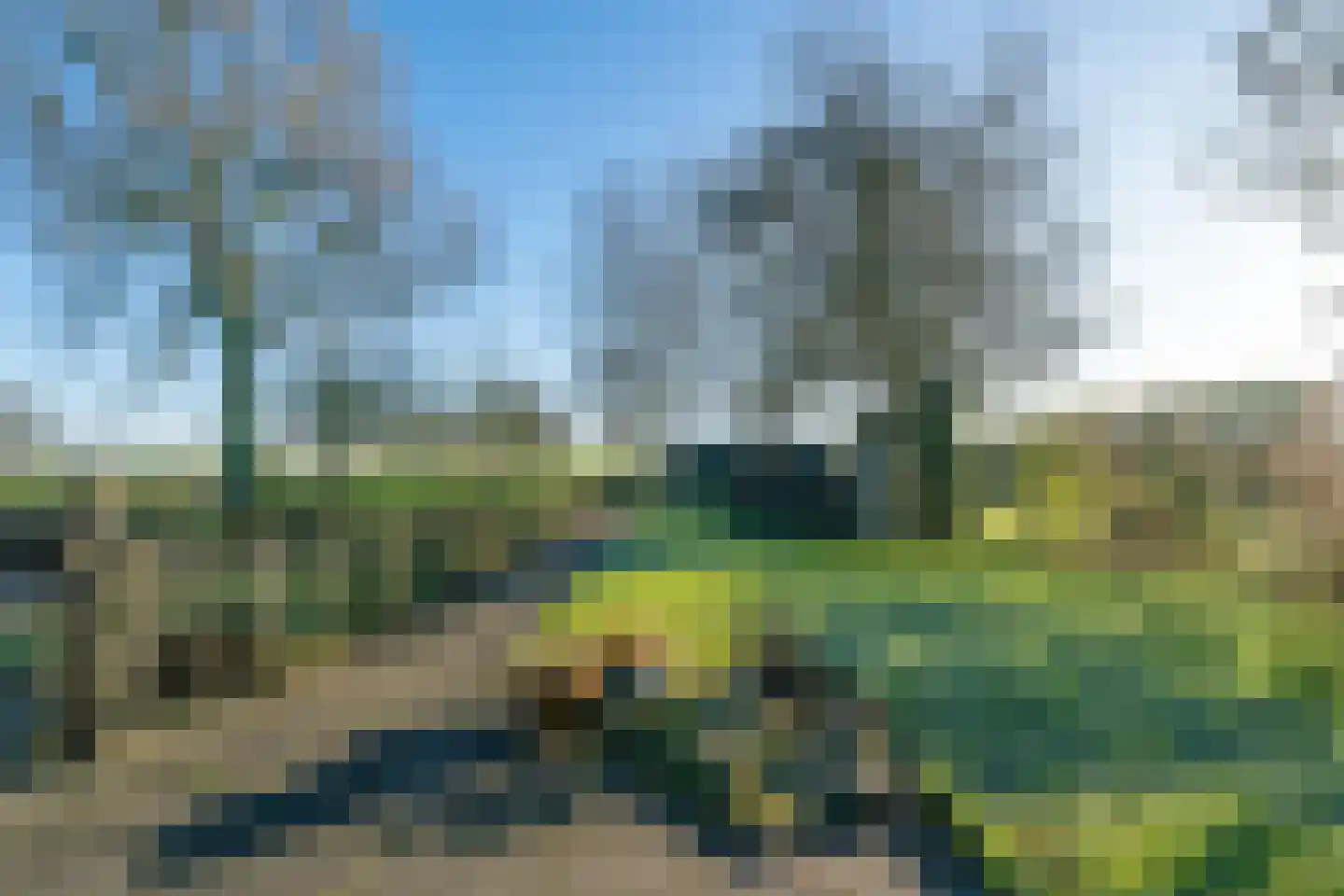 Noordeinde 6 Noordeinde thumbnail 79