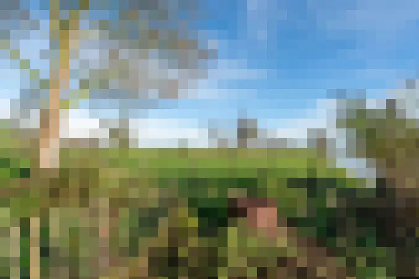 Noordeinde 6 Noordeinde thumbnail 83