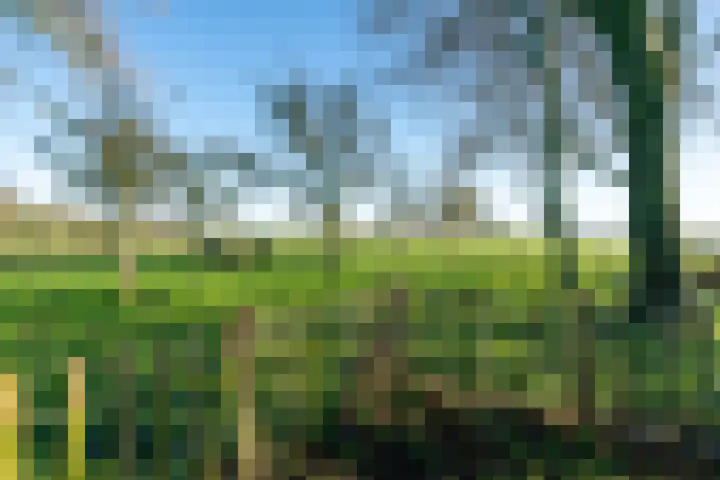 Noordeinde 6 Noordeinde thumbnail 84
