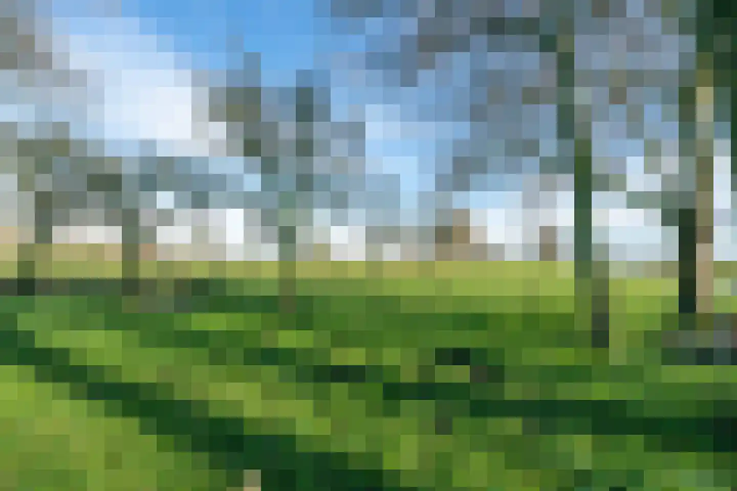 Noordeinde 6 Noordeinde thumbnail 85