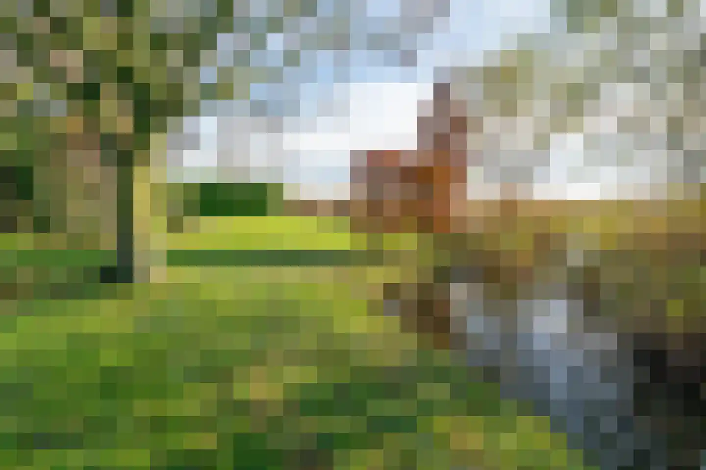 Noordeinde 6 Noordeinde thumbnail 86