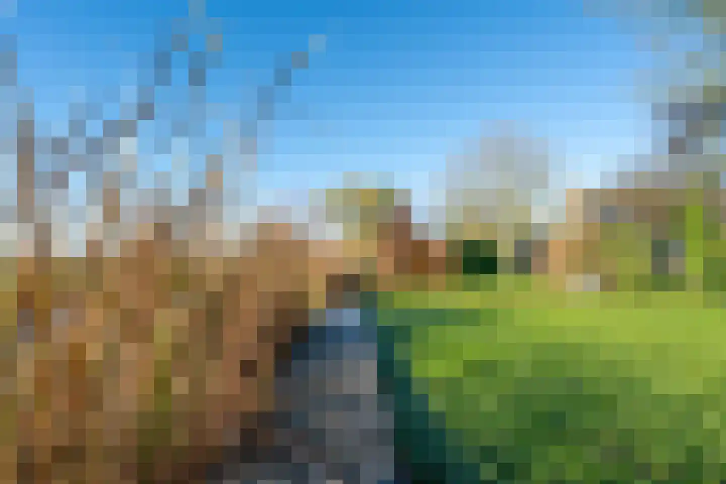 Noordeinde 6 Noordeinde thumbnail 89
