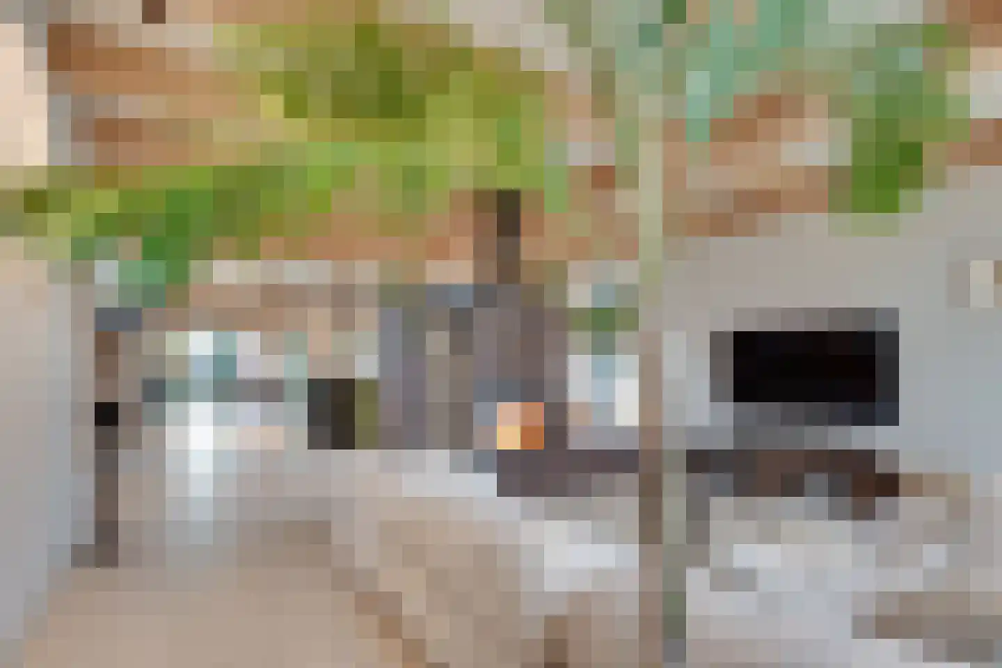 Noordeinde 6 Noordeinde thumbnail 9