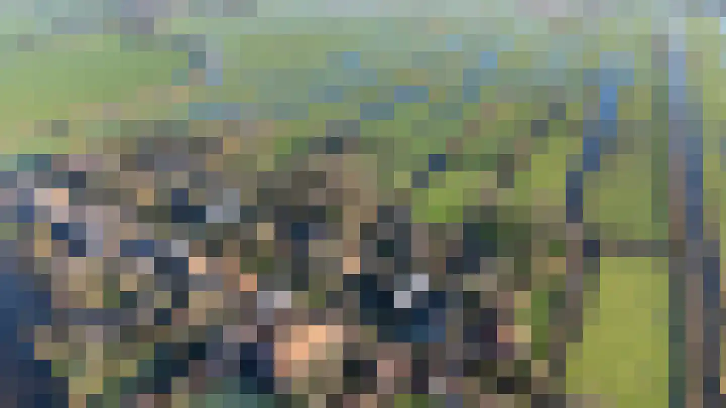 Noordeinde 6 Noordeinde thumbnail 99