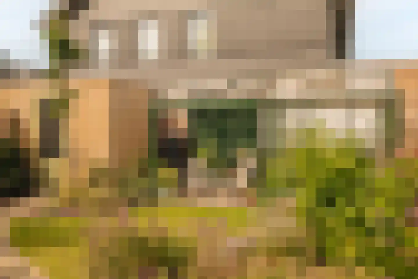 Noordeinde 61 Oostzaan thumbnail 16