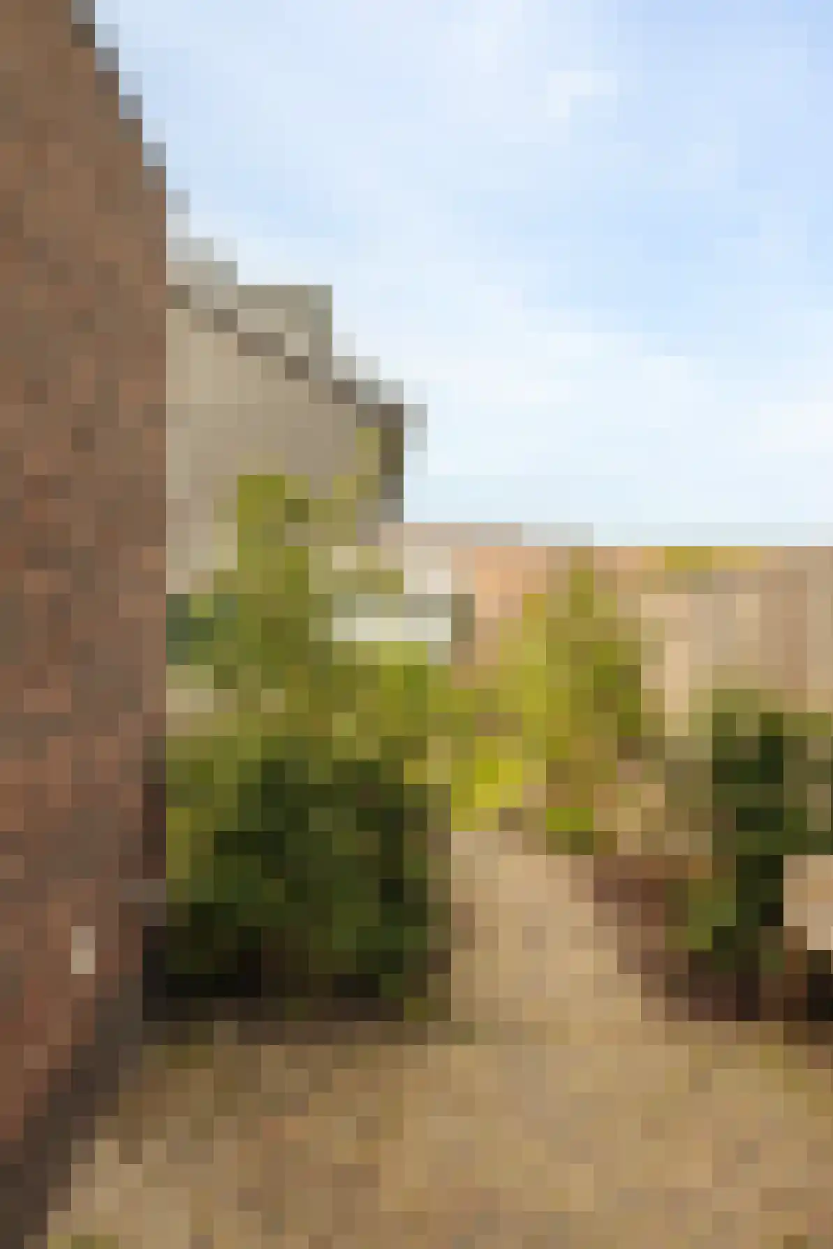 Noordeinde 61 Oostzaan thumbnail 39