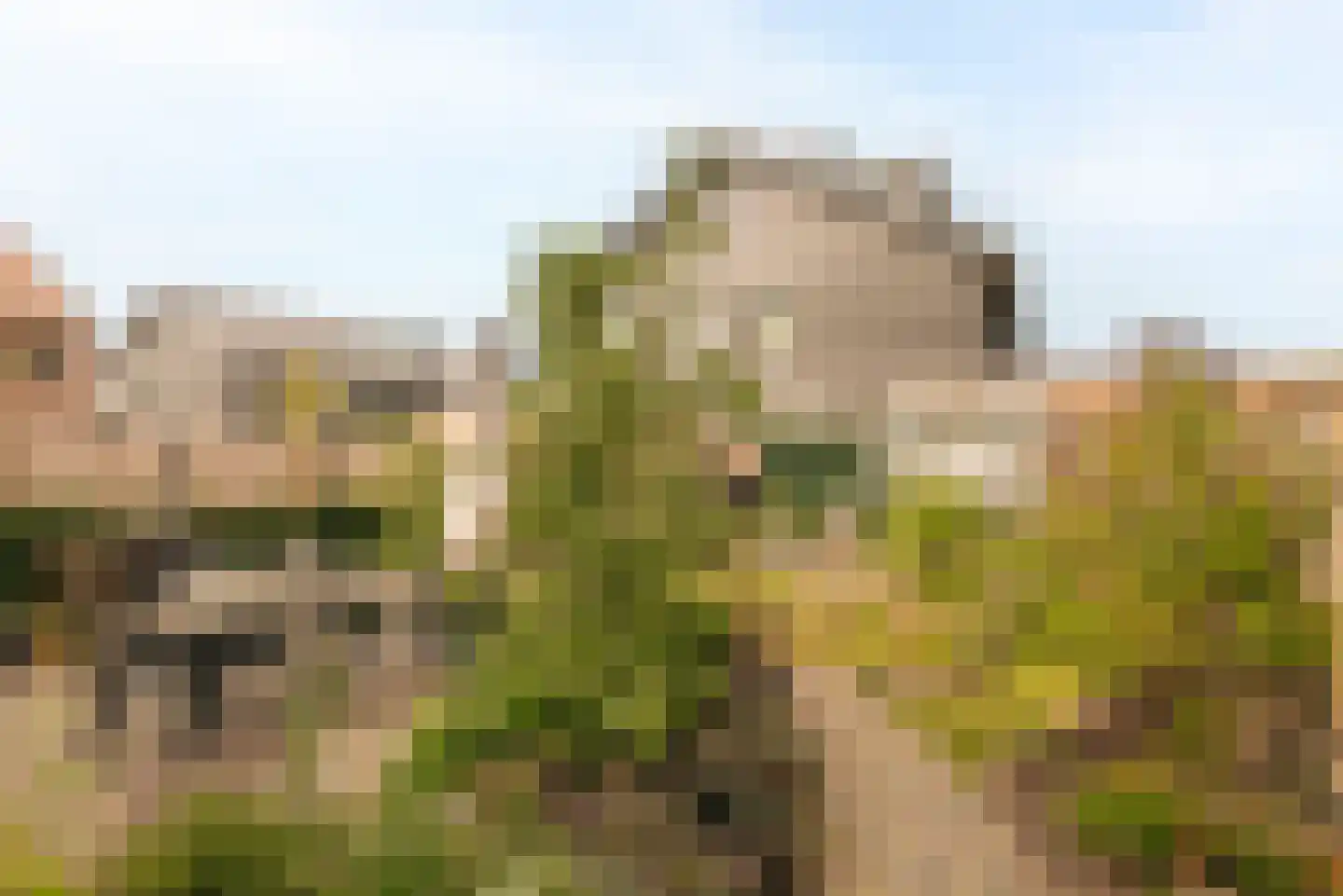 Noordeinde 61 Oostzaan thumbnail 5