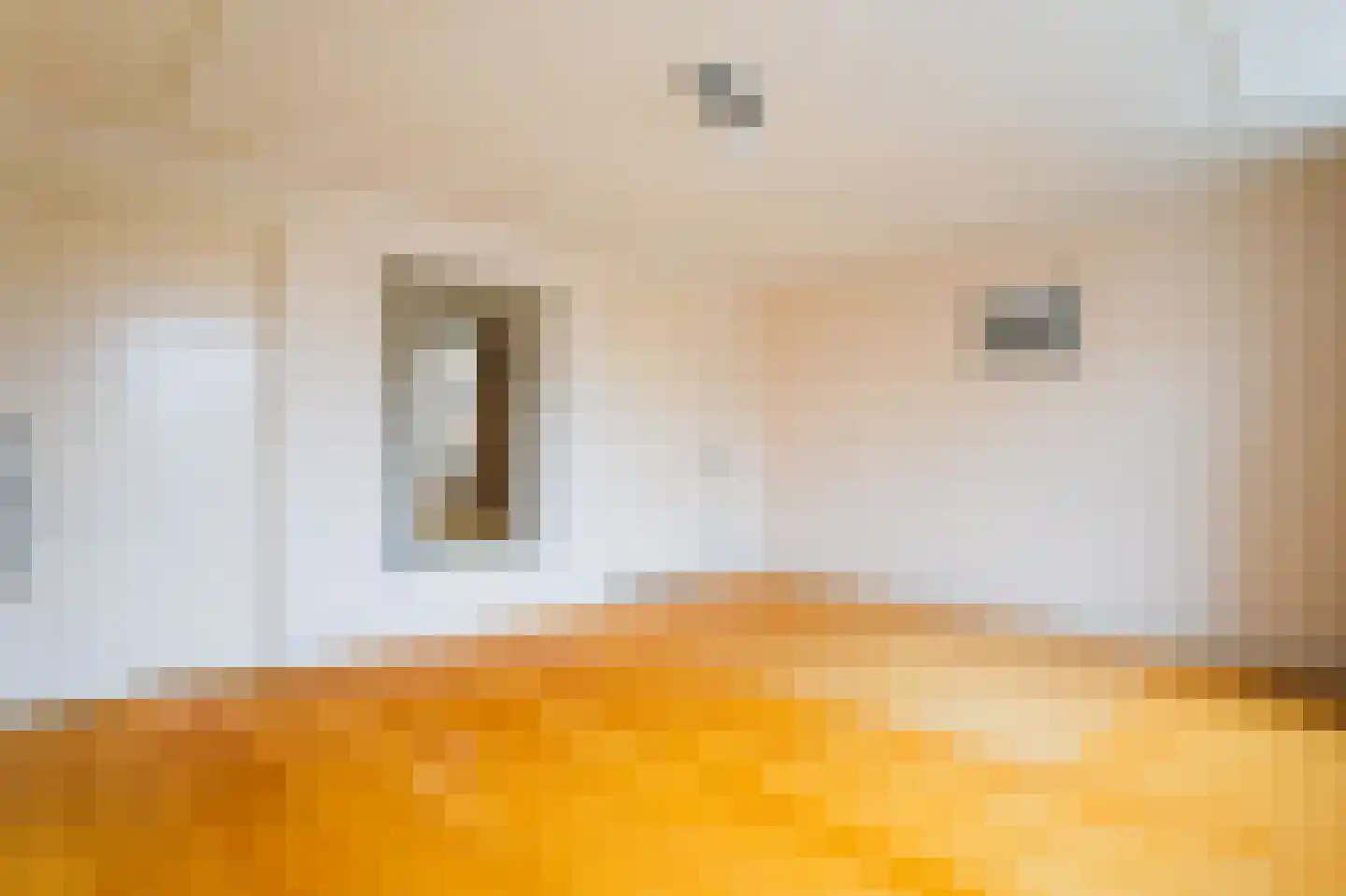 Noordeinde 62 D Den Haag thumbnail 19