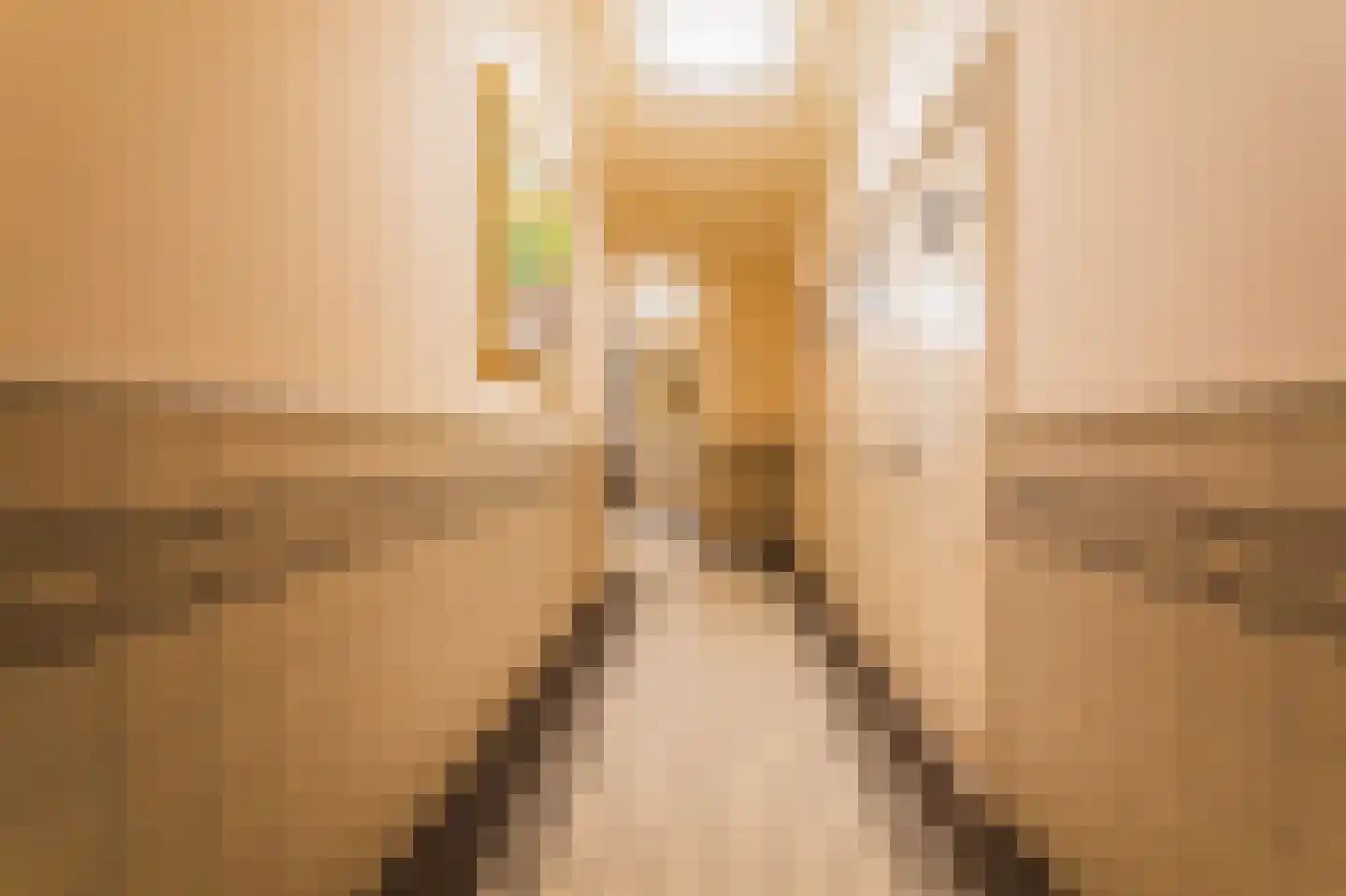 Noordeinde 62 D Den Haag thumbnail 23