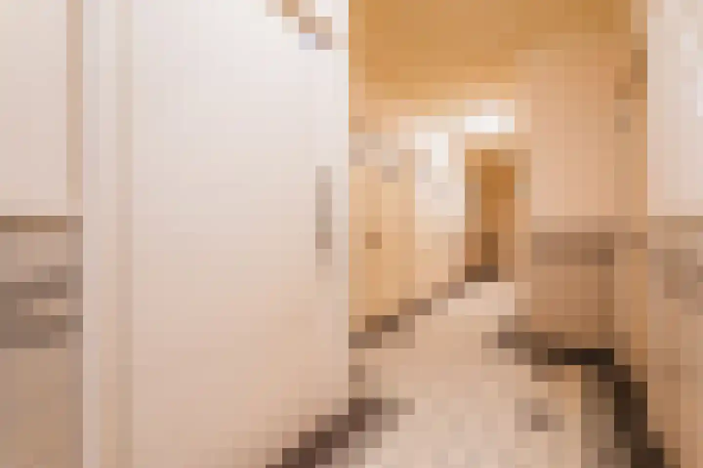 Noordeinde 62 D Den Haag thumbnail 33