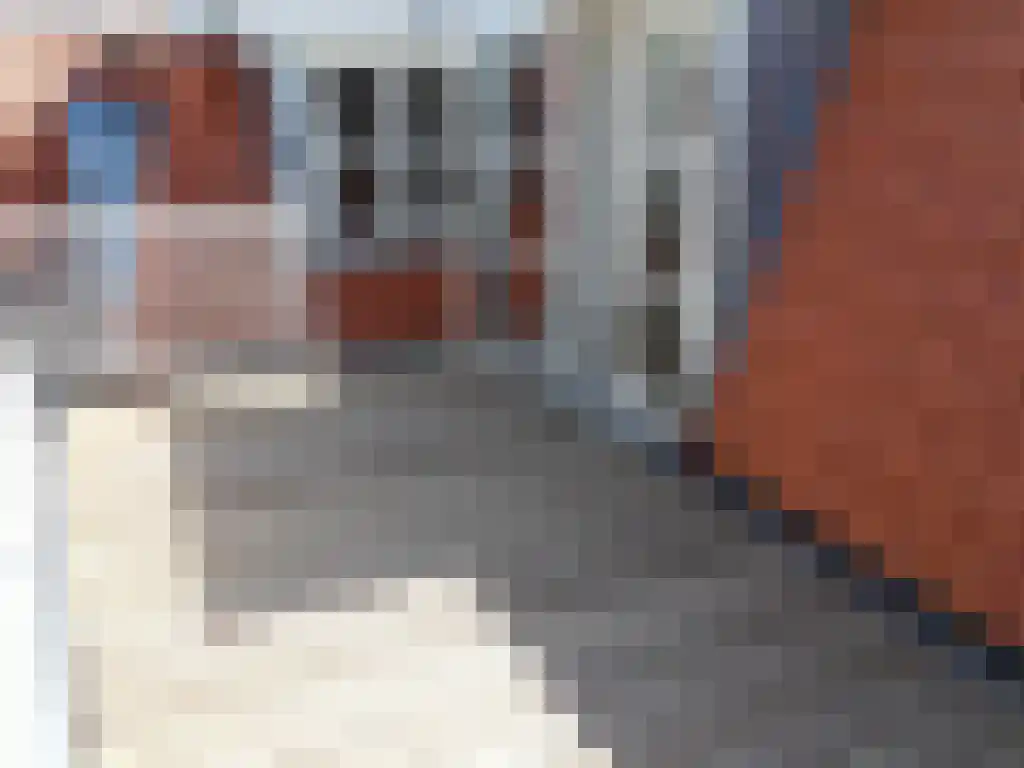 Noordeinde 62 D Den Haag thumbnail 4