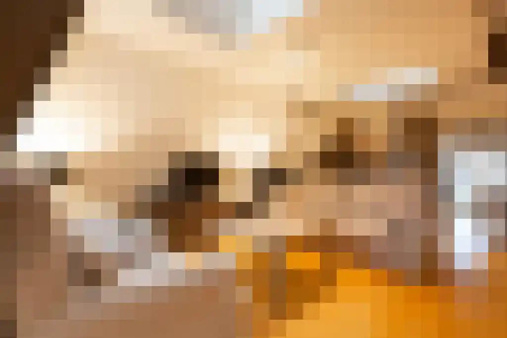 Noordeinde 62 D Den Haag thumbnail 5