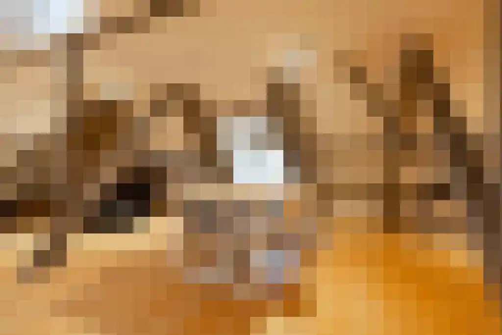 Noordeinde 62 D Den Haag thumbnail 6
