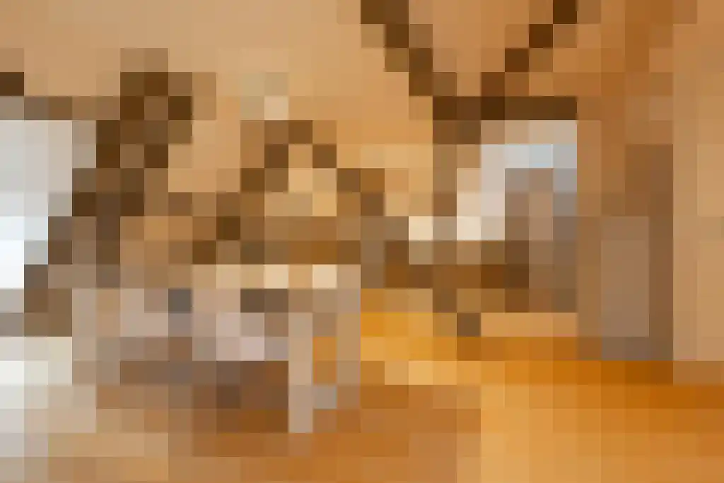 Noordeinde 62 D Den Haag thumbnail 8