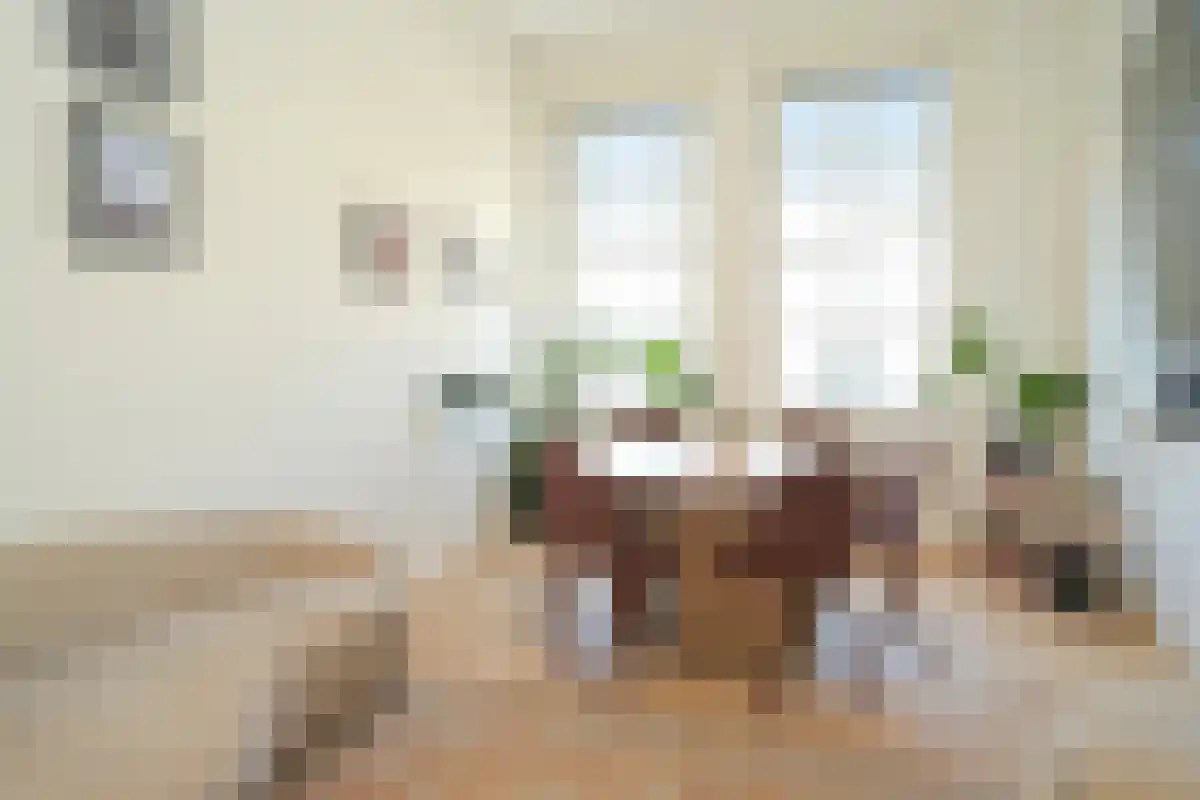 Noordeinde 64 Den Haag thumbnail 4