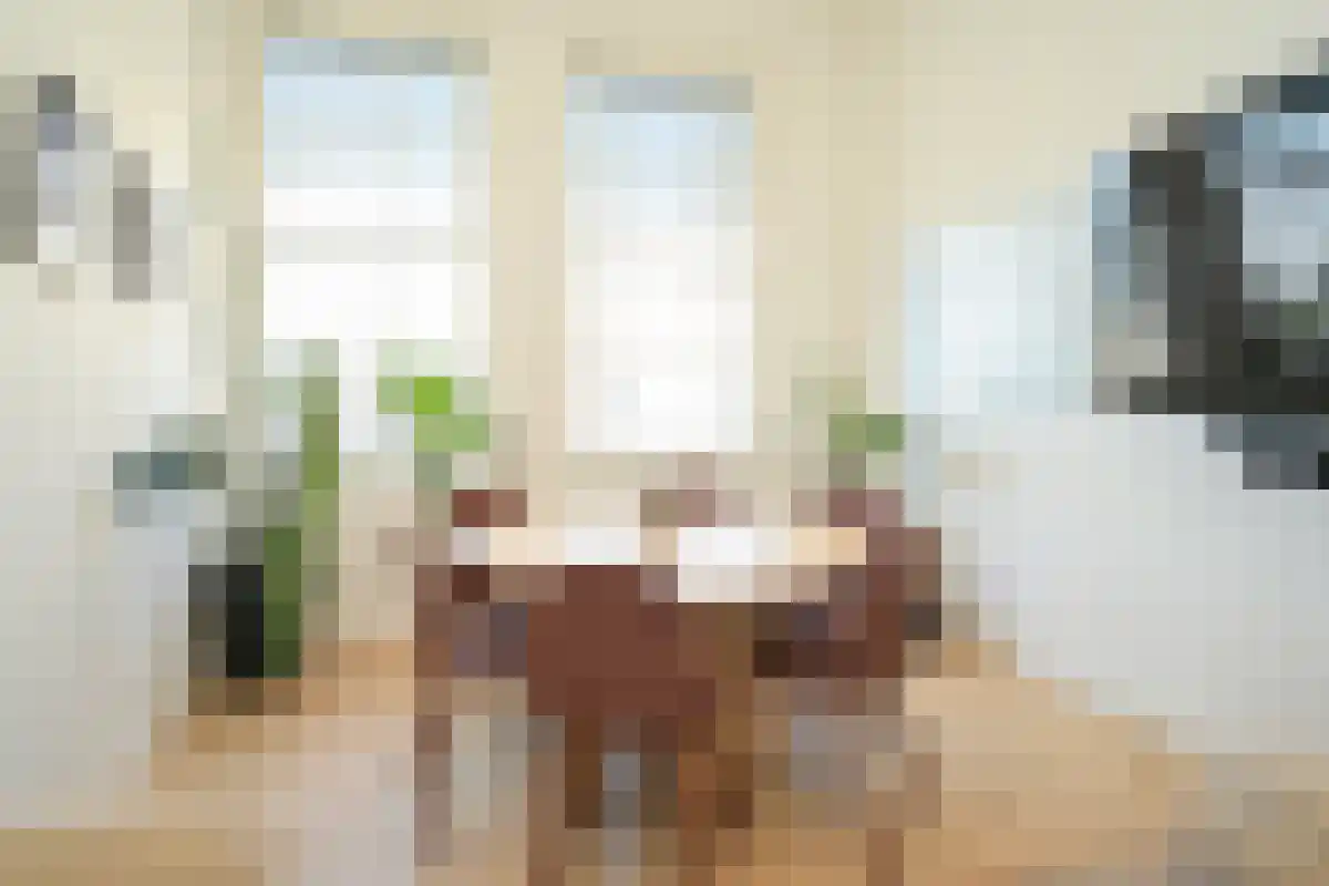 Noordeinde 64 Den Haag thumbnail 5
