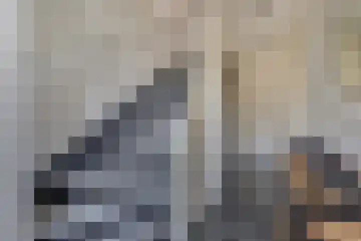 Noordeinde 67 Waddinxveen thumbnail 20