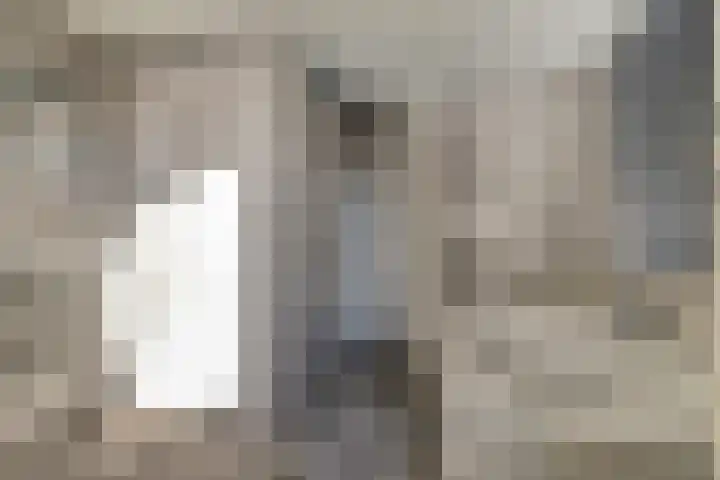 Noordeinde 67 Waddinxveen thumbnail 4
