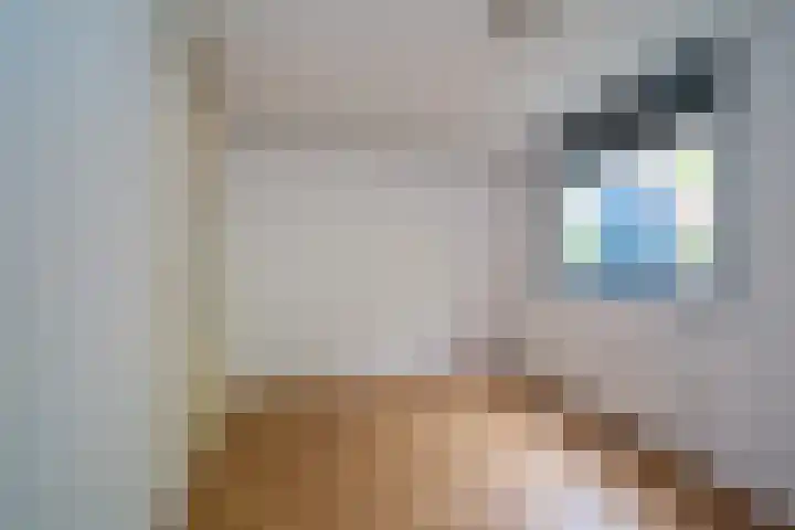 Noordeinde 68 Delft thumbnail 16