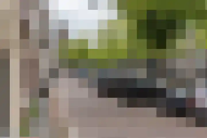 Noordeinde 68 Delft thumbnail 20