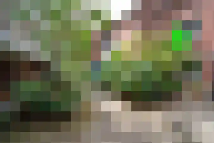 Noordeinde 68 Delft thumbnail 4