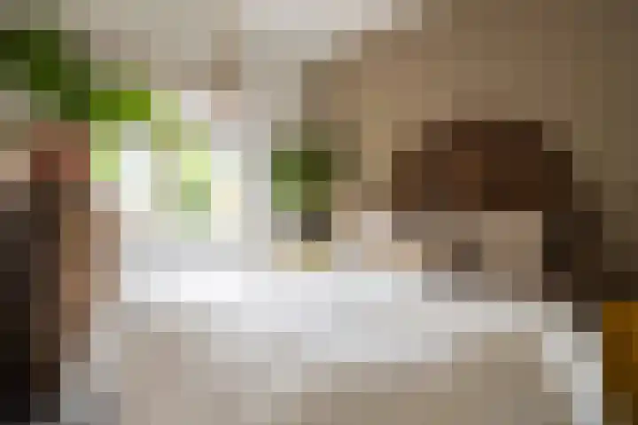 Noordeinde 7 Lambertschaag thumbnail 14