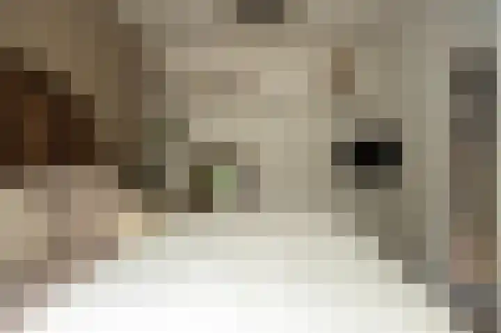 Noordeinde 7 Lambertschaag thumbnail 15