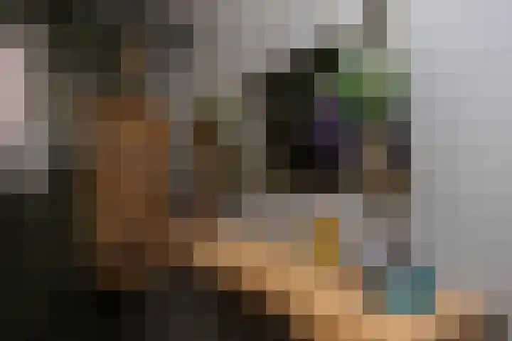 Noordeinde 7 Lambertschaag thumbnail 18