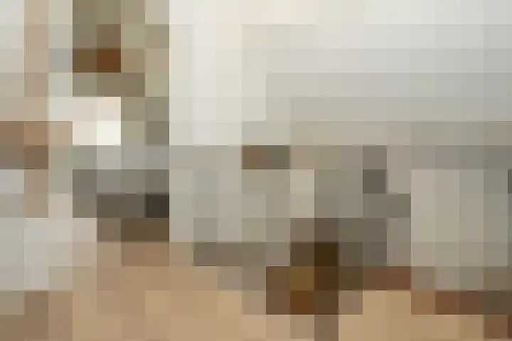 Noordeinde 7 Lambertschaag thumbnail 21
