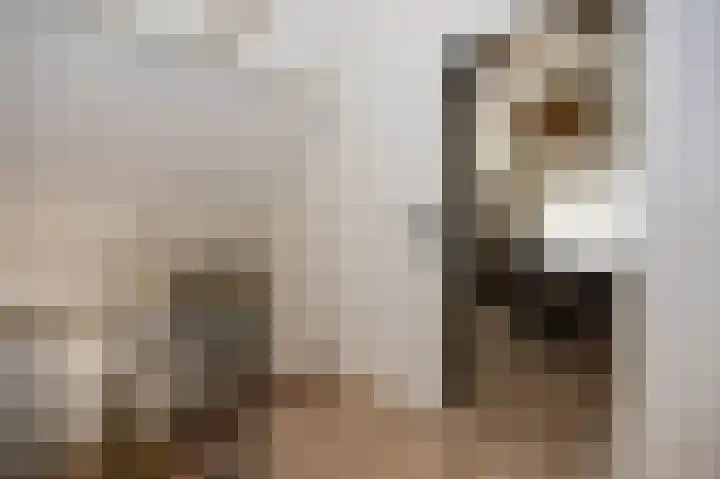 Noordeinde 7 Lambertschaag thumbnail 26