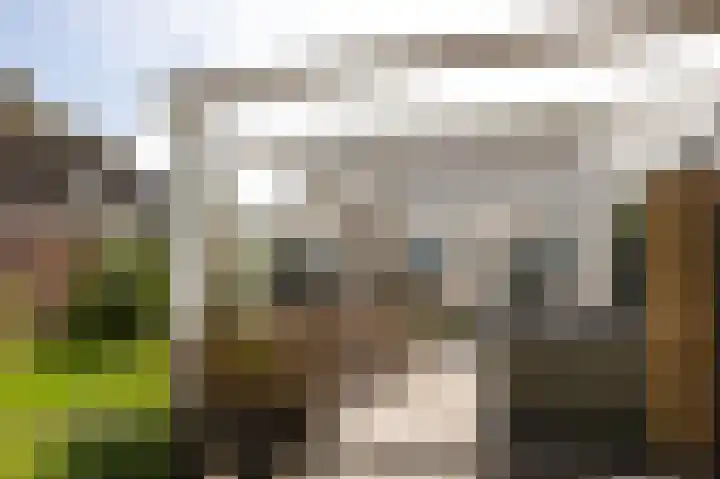Noordeinde 7 Lambertschaag thumbnail 34