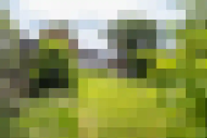 Noordeinde 7 Lambertschaag thumbnail 37